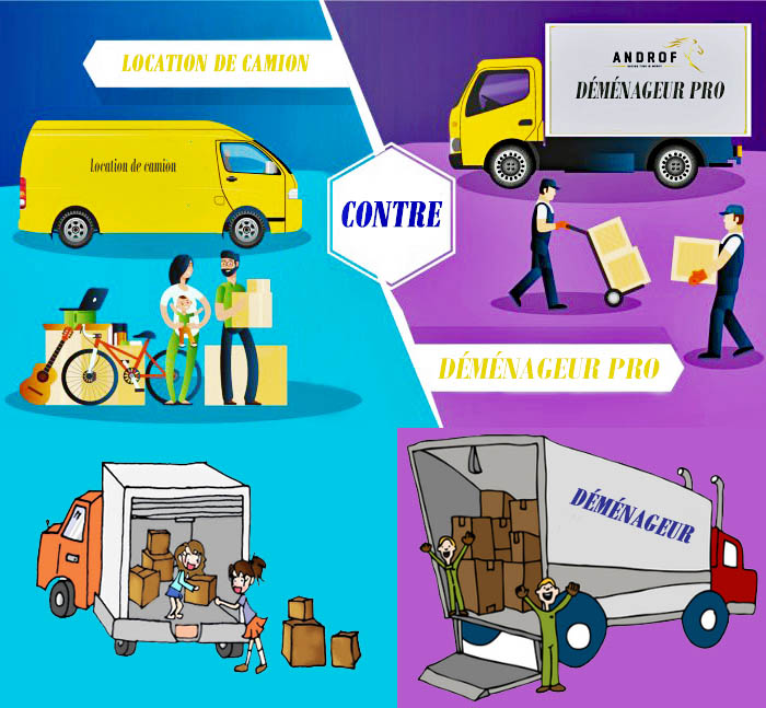 location de camion vs déménageur pro